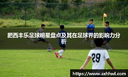 肥西丰乐足球明星盘点及其在足球界的影响力分析